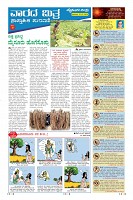 MM-12_page-0009