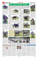 MM-19-8_page-0009
