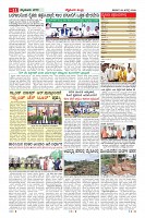 MM-29_page-0011