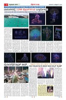 MM-18_page-0007