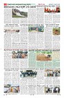 Page-8