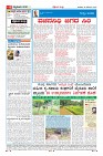 MM-19-11-page-004
