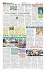 MM-13-1 (12 files merged)_page05