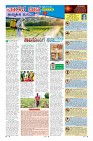 MM-26_page-0009