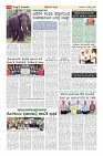 MM-12-8_page-0015