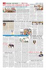 MM-19-8_page-0006